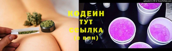 хмурый Алексеевка