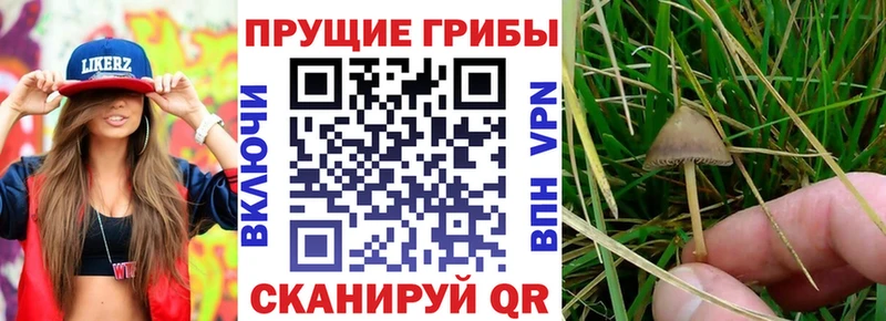 Псилоцибиновые грибы MAGIC MUSHROOMS  Лиски 